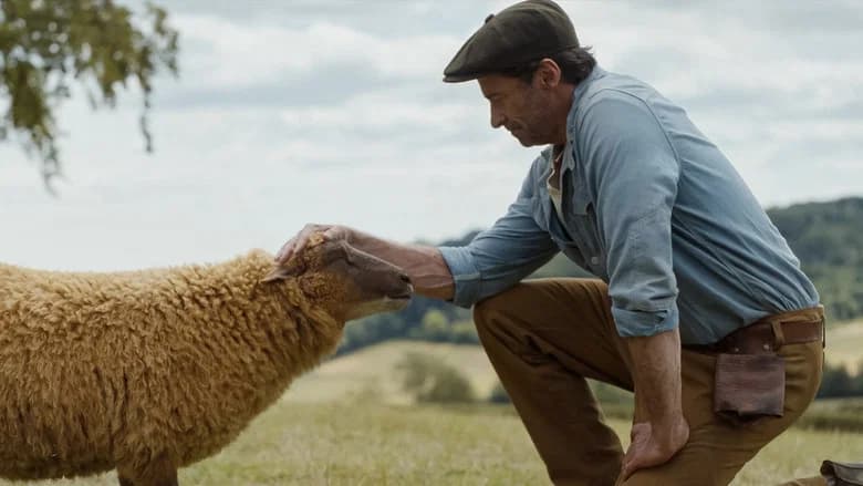 Szenenbild aus The Sheep Detectives